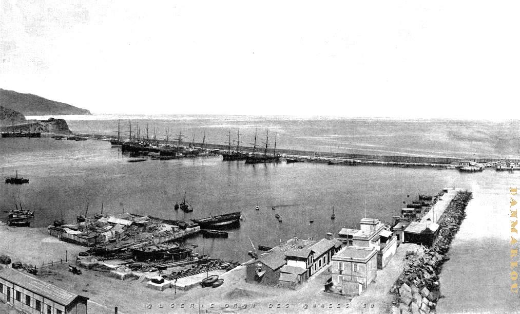 PO b- 307.jpg